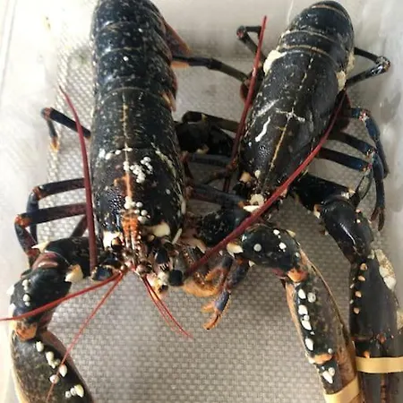 Διαμέρισμα Le Picardy, Deco Retro