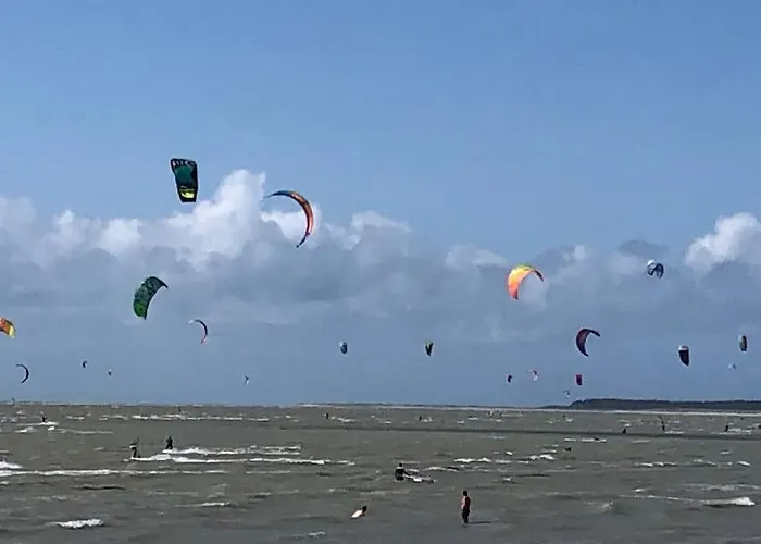 Le Picardy, Déco Rétro *